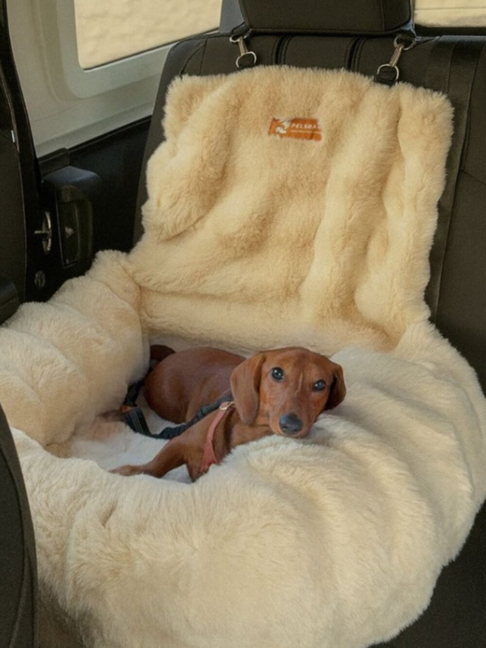(NWT) Pelsbarn Luxurious Cozy Car Bed - Beige (size Small)